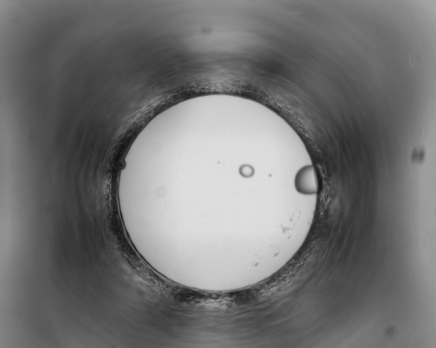 X0000099230306200805151636