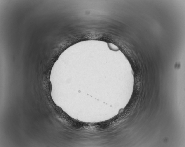 X0000099230307200805151636