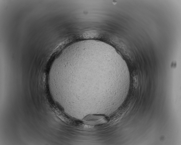 X0000099230308200805151636