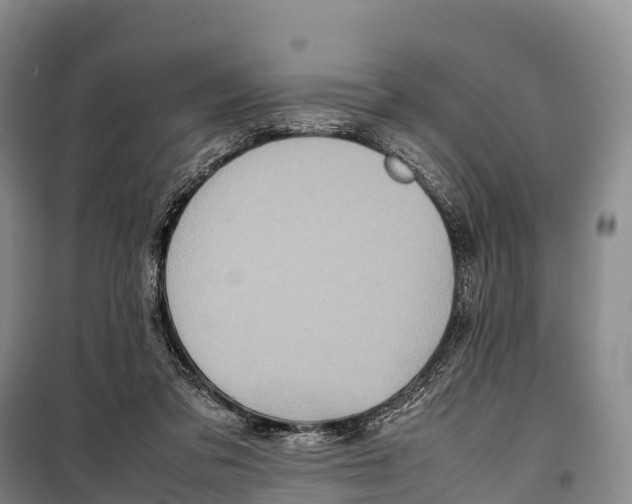 X0000099230309200805151636