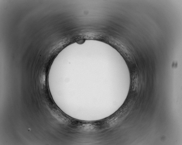 X0000099230310200805151636