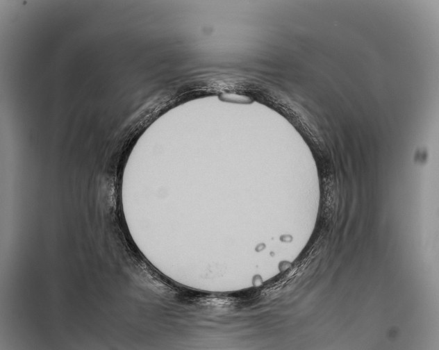 X0000099230313200805151635