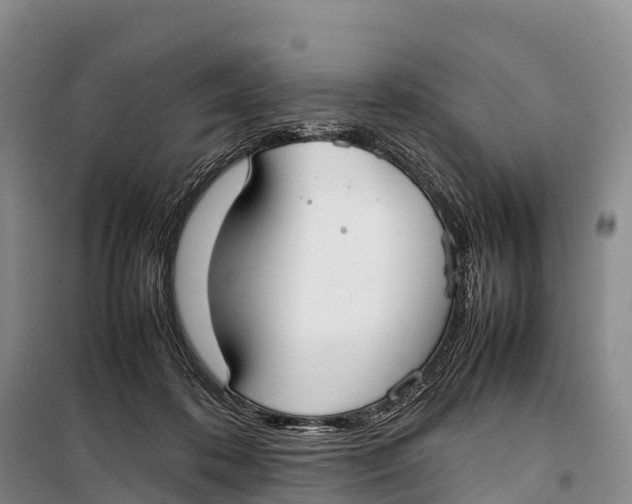 X0000099230316200805151635