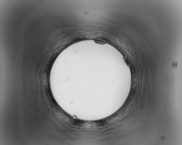 X0000099230317200805151635