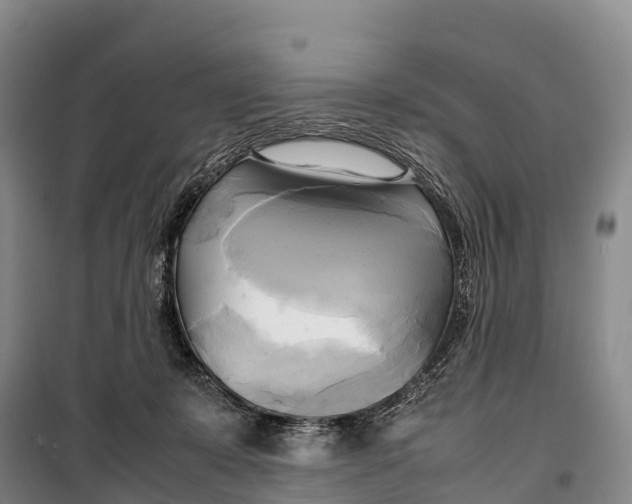 X0000099230319200805151635