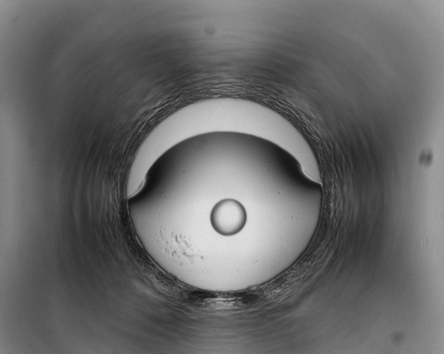 X0000099230320200805151635