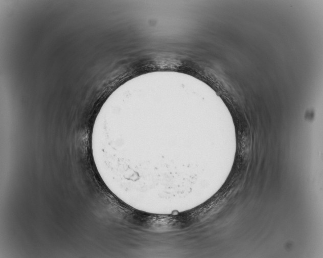 X0000099230321200805151635