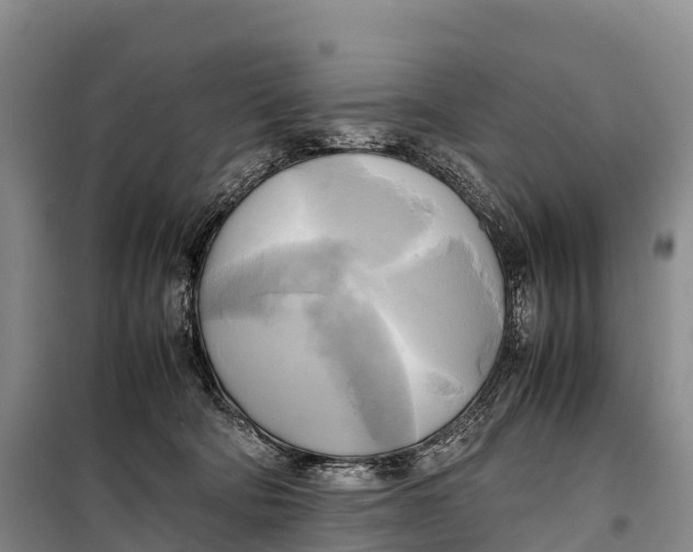 X0000099230322200805151635