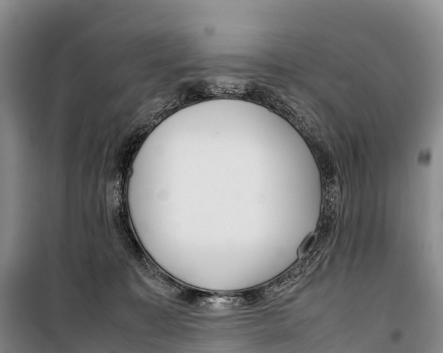 X0000099230323200805151635