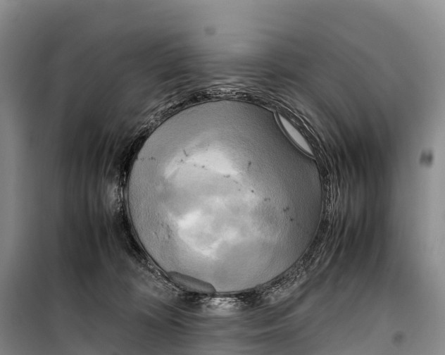 X0000099230324200805151635