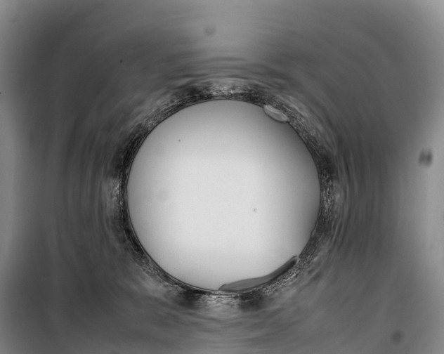 X0000099230327200805151635