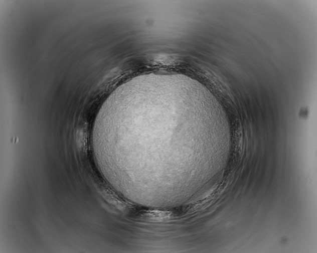 X0000099230328200805151635