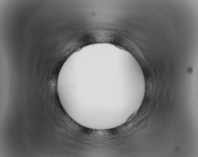 X0000099230329200805151635