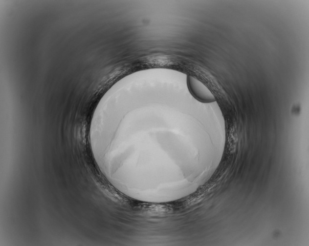 X0000099230330200805151635