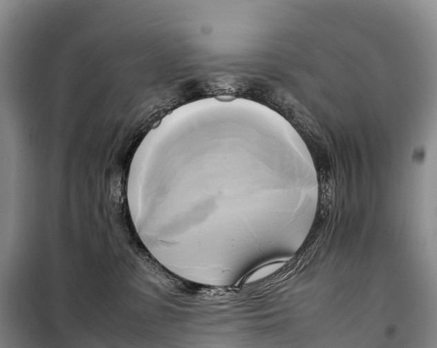 X0000099230331200805151635