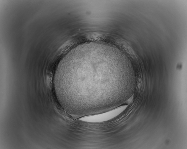 X0000099230332200805151635