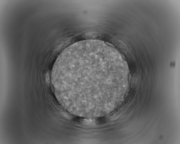 X0000099230335200805151635