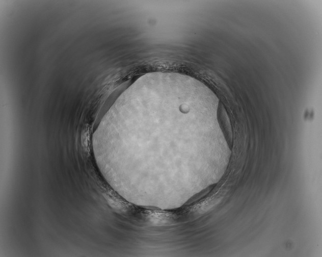 X0000099230336200805151635