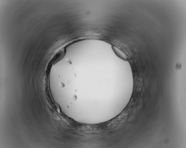 X0000099230338200805151635