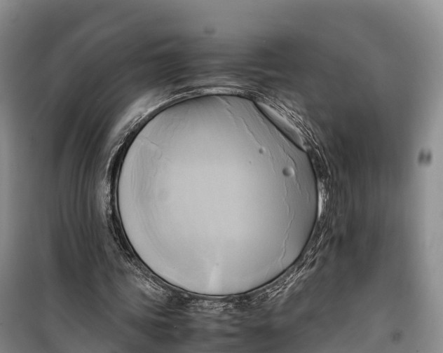 X0000099230339200805151635