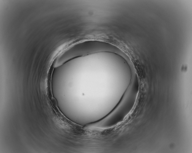 X0000099230340200805151635