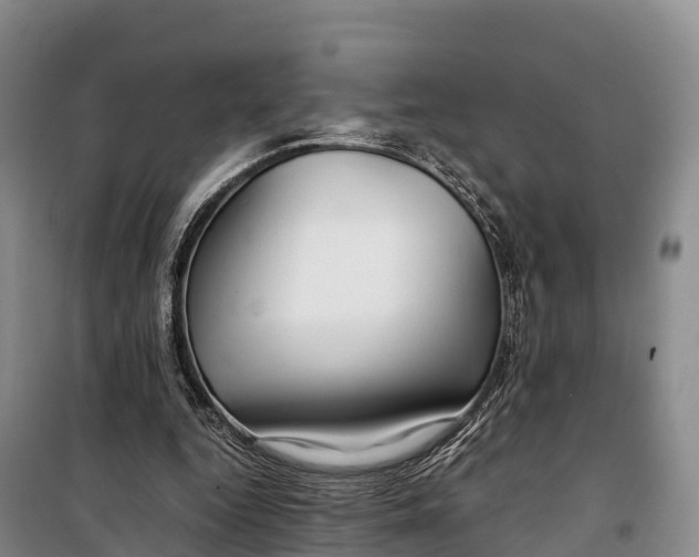 X0000099230344200805151635