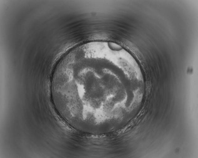 X0000099230345200805151635