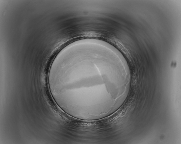 X0000099230347200805151635