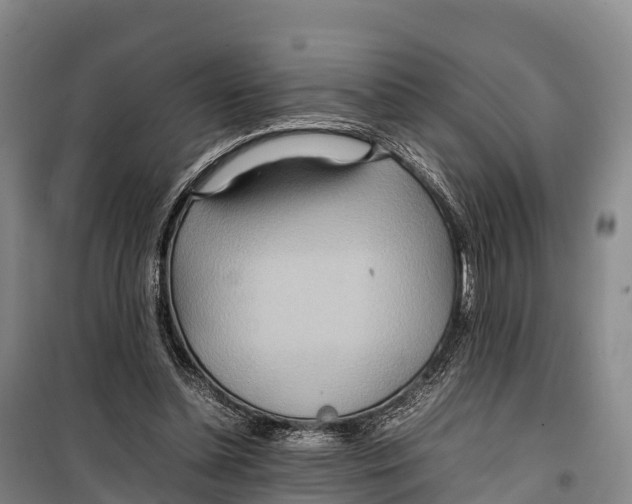 X0000099230348200805151635