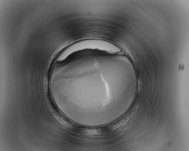 X0000099230349200805151635