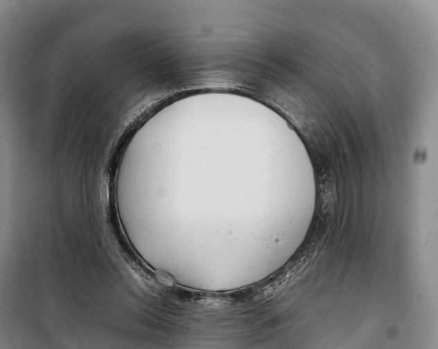 X0000099230350200805151635