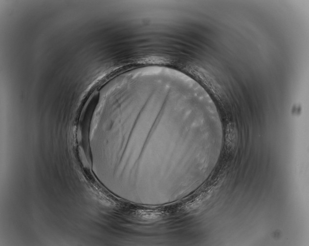 X0000099230351200805151635