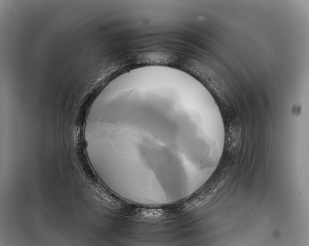 X0000099230355200805151635