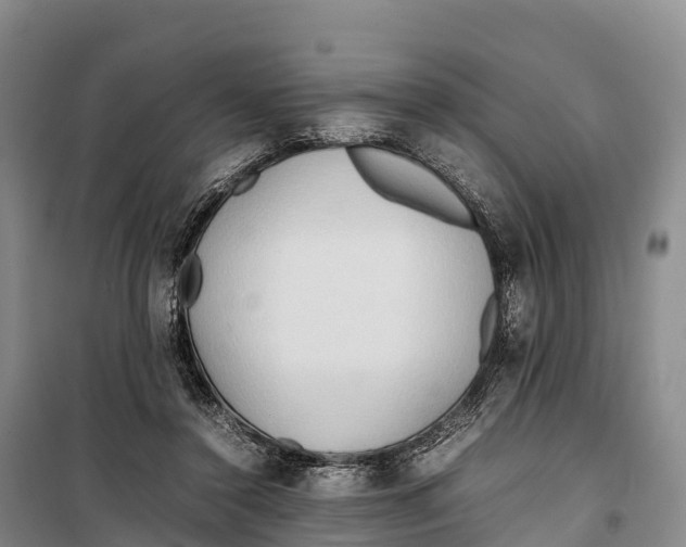 X0000099230356200805151635