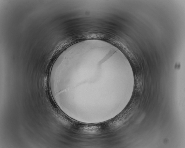 X0000099230357200805151635