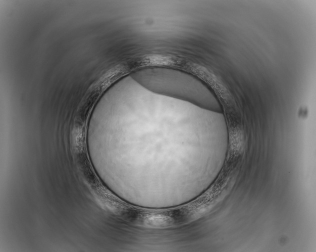 X0000099230360200805151635