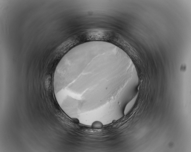 X0000099230361200805151635