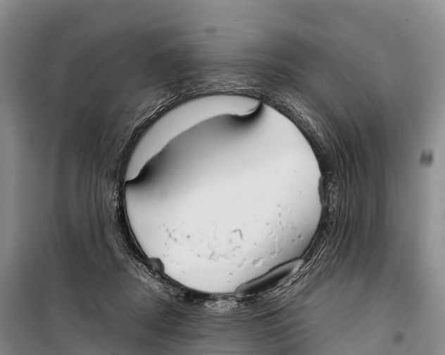 X0000099230362200805151635