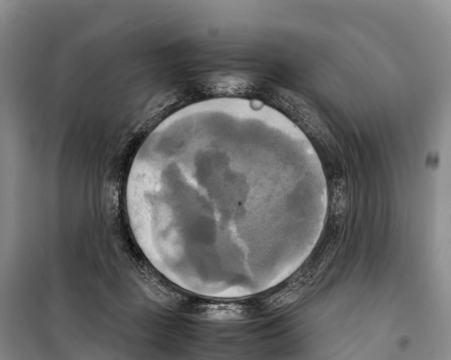 X0000099230363200805151635