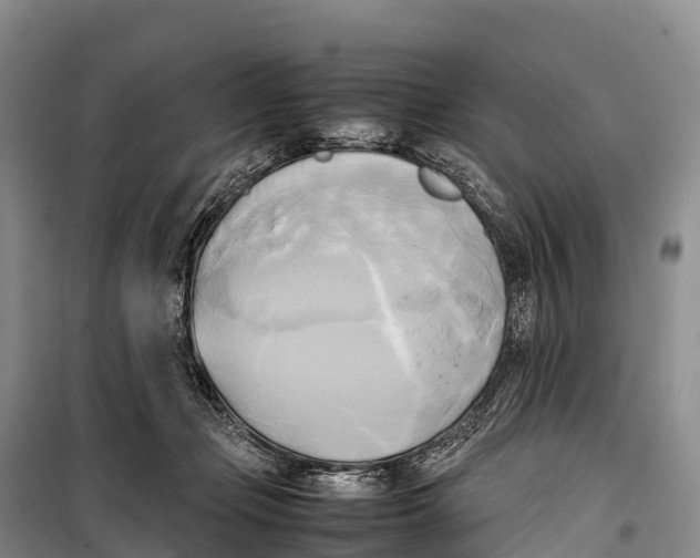 X0000099230365200805151635