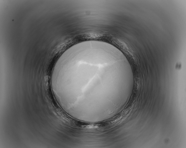 X0000099230366200805151635