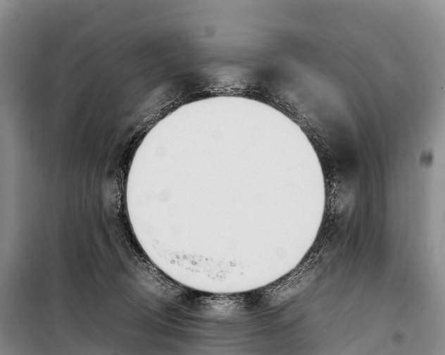 X0000099230370200805151635