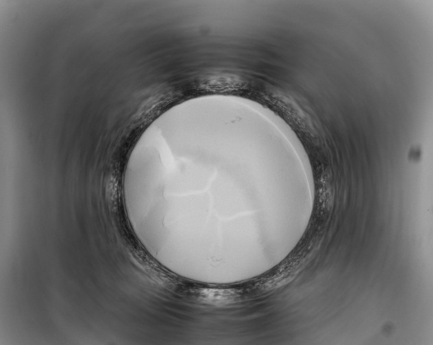 X0000099230371200805151635