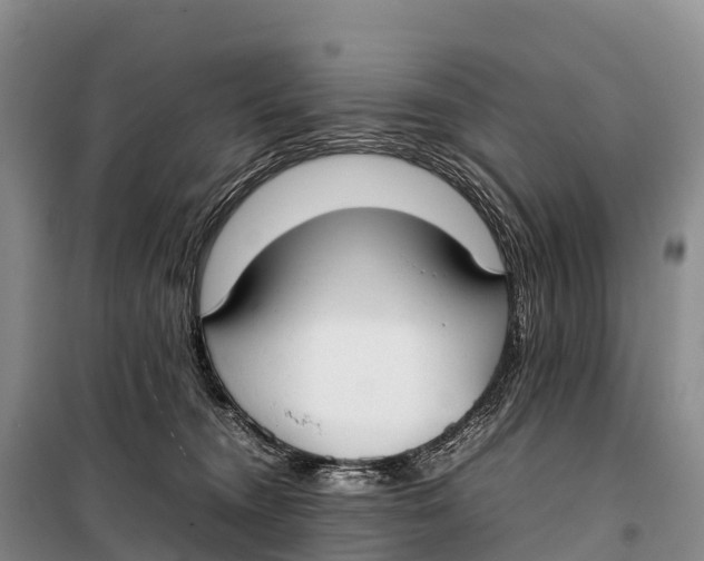 X0000099230372200805151635