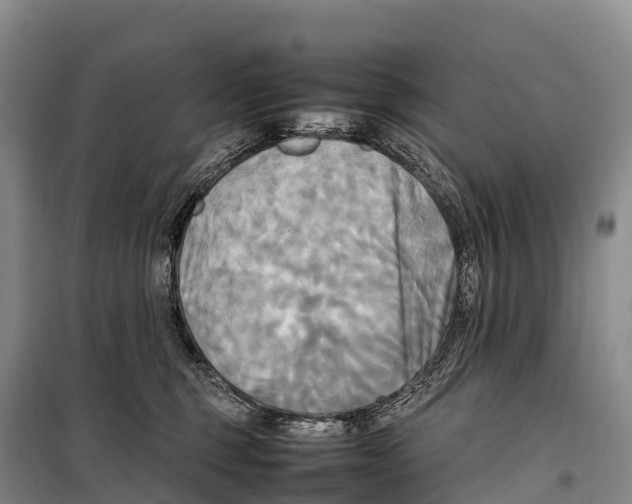 X0000099230375200805151635