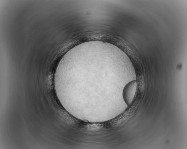 X0000099230378200805151635