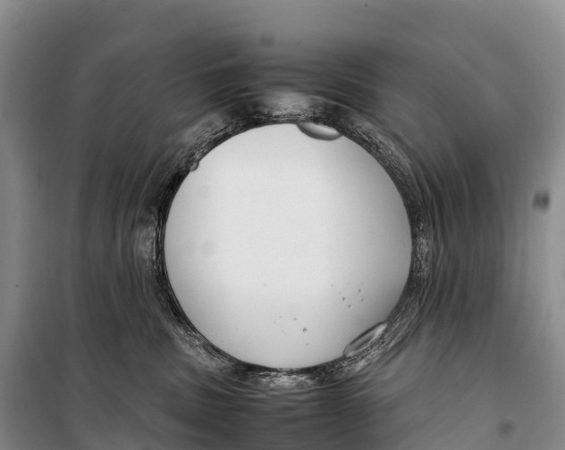 X0000099230379200805151635