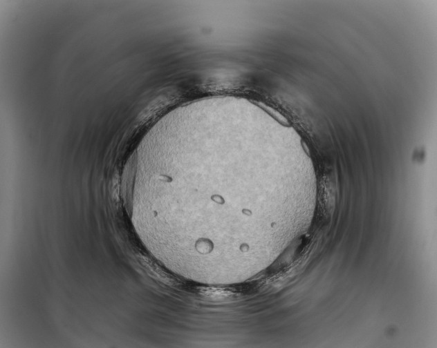 X0000099230380200805151635