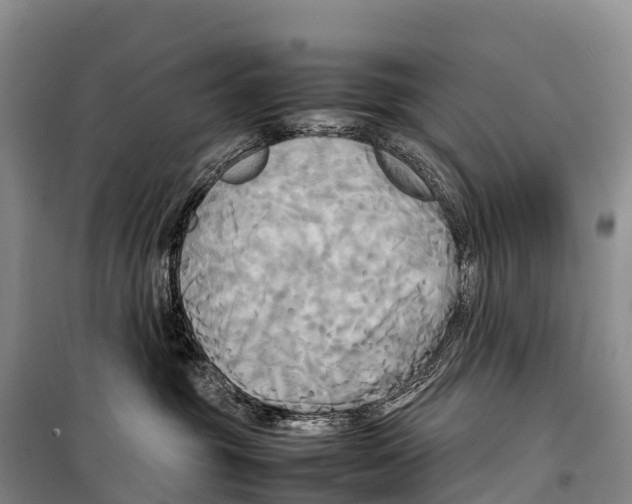 X0000099230381200805151635