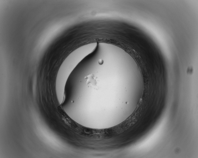 X0000099230382200805151635